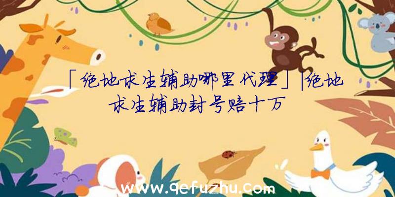 「绝地求生辅助哪里代理」|绝地求生辅助封号赔十万